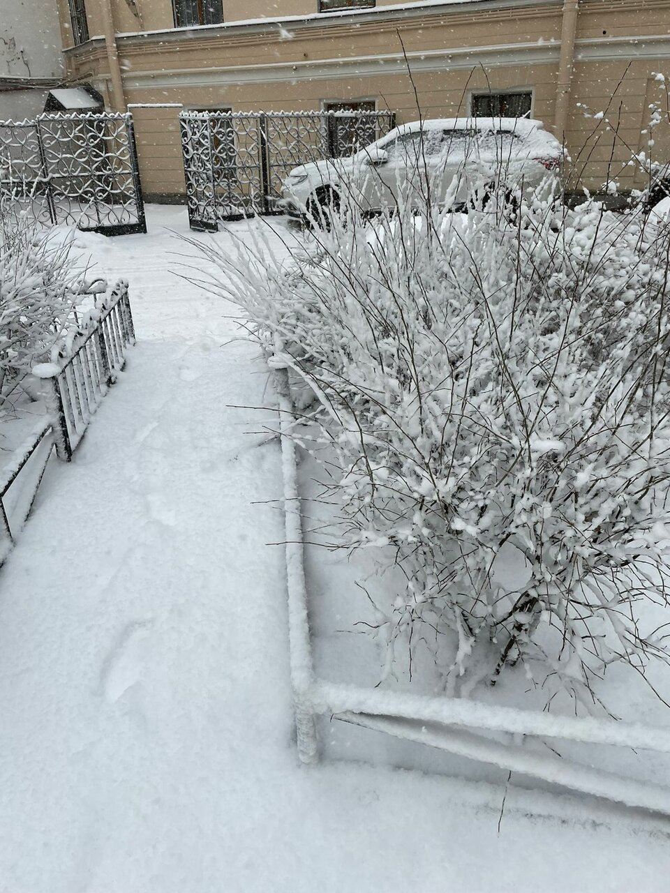 Отель Жасмин Санкт-Петербург-22